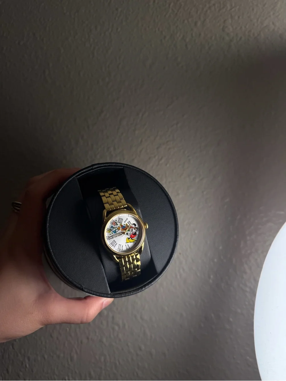 Citizen Gold-Tone Women's Watch with Character Dial